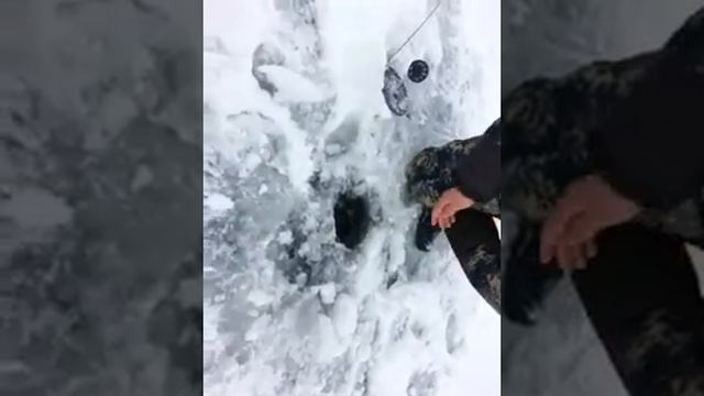 Рыбалка 10 декабря! Волгоградская область Киквидзенский район!Отдых, Рзвлечение!