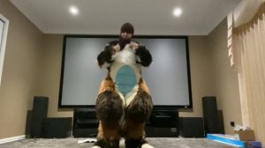 Asteria’s Suit Up!! (ElkDragon)