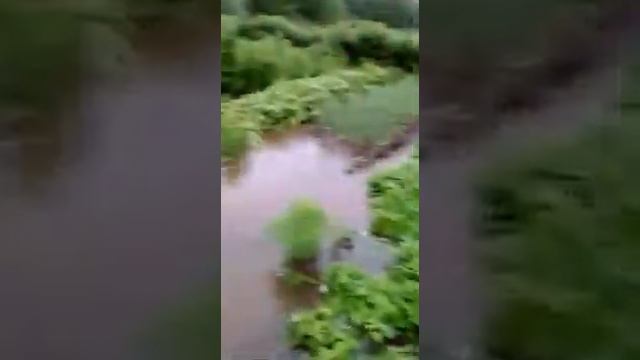 Амурская область зейский район с овсянка 2019год смотреть онлайн