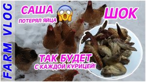 Farm Vlog_ Саша потерял яйца _ Так будет с каждой курицей! Жизнь в деревне _ Farm Life