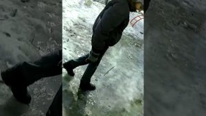 Черноморцы в луже