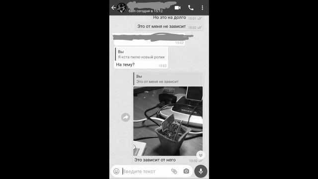 Где растение вырастет быстрее?