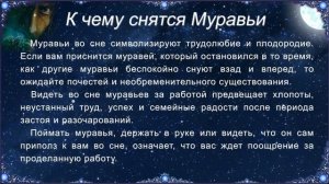 К чему снятся Муравьи (Сонник)