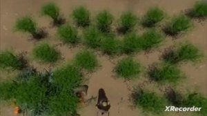 @bukva_c_777 съел гороховый суп и у него понос ????????????