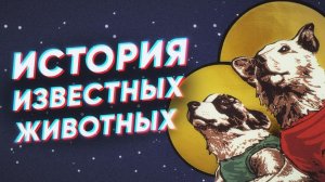 Краткая история ИЗВЕСТНЫХ ЖИВОТНЫХ России