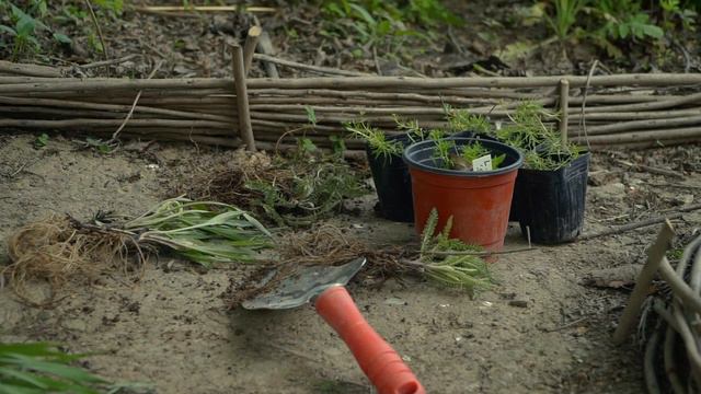 정원에서의 휴식 l 한가한 정원 생활 l 가장 아름다운 숲정원 l Garden Diary EP32 смотреть онлайн