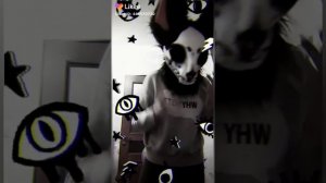 Видео из лайка с Фурри следующие видео либо из тик тока либо из лайка