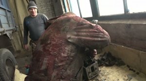 ЗАМЕНИЛ САЛЬНИК РАЗДАТКИ ХВОСТОВИКА НА СУЗУКИ / ВЕСЕЛИМСЯ В ГАРАЖЕ !))