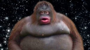 Обезьянка Оо СТИНКИ (меме)