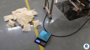 Расфасовка сыпучих пылящих продуктов в пакеты