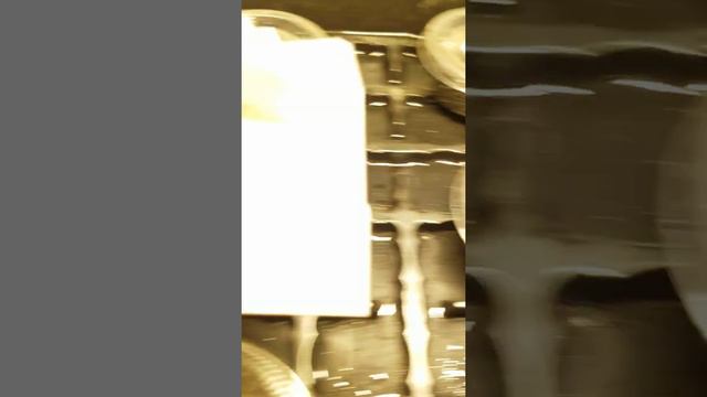 growing lithops, sedum and echeveria from seed (day 0: Aug 8,2020) смотреть онлайн