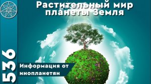 #536 Растительный мир планеты Земля. Кто изменил ДНК человека? Экологическая доктрина. ГМО продукты.