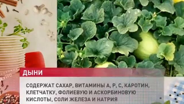 Где растут хорошие дыни смотреть онлайн