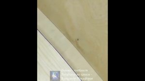 Лайфхак. Как отмерять
