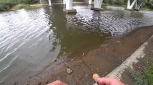 Борисовские пруды мост Каширское шоссе