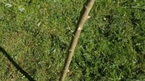 "Финские" сети