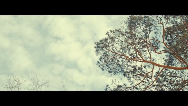 г. Братск. Сибирский лес весной \ Bratsk town. Siberian forest in spring. смотреть онлайн