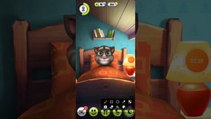 Мой Том -что Изменилось за 3 года (нечего) #мой Том #игры