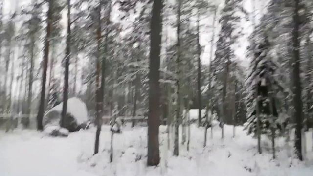 Средневековый Выборг и Нордическая природа / Путешествие на один день