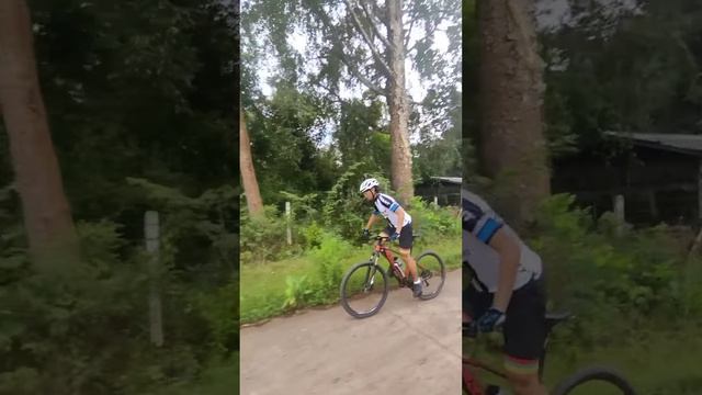 MTB rider смотреть онлайн