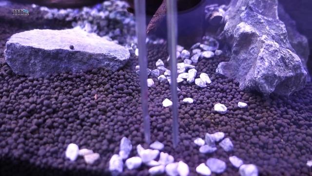 #aquascaping #aquadesign #aquascape #hardscape #Акваскейпинг. 2 метра ADA.