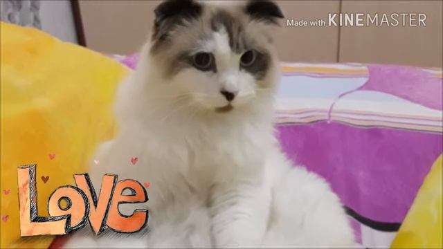 Заболела ангиной перед самыми зимними каникулами... смотреть онлайн