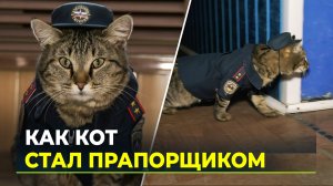 Носит форму и ведет соцсети: в Тюмени кот поступил на службу в пожарную часть