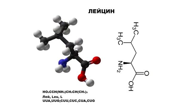 Лей аминокислота. Лейцин и изолейцин формула. Валин лейцин изолейцин. Лейцин строение аминокислоты. Лейцин строение.