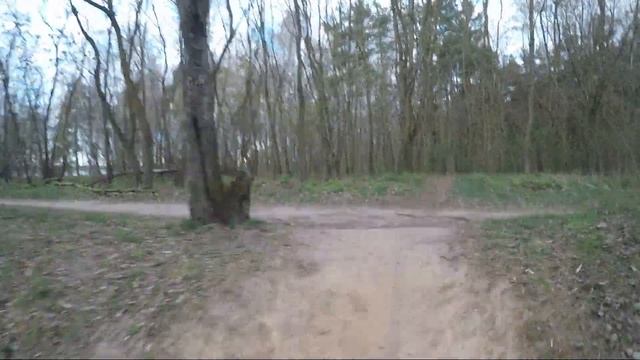 The raconteurs - salute your solution (cyclist's mare edition) смотреть онлайн