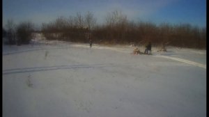 Гусеницы крутец по пухляку