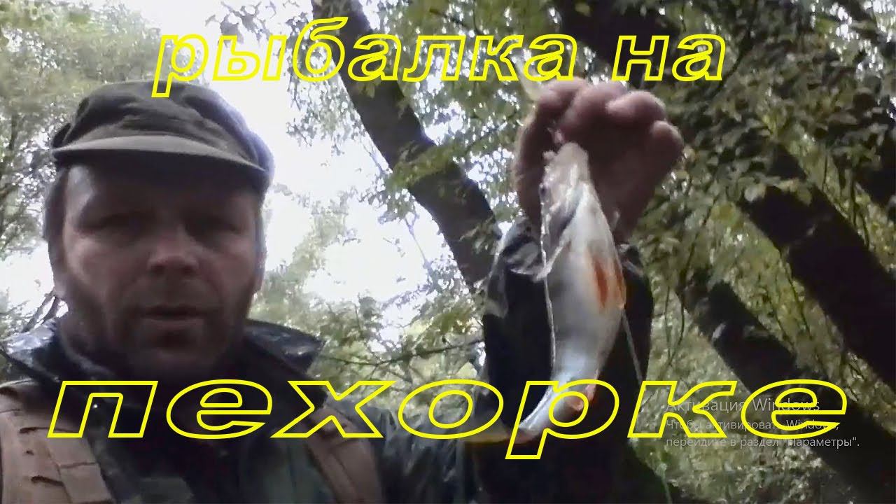рыбалка на пехорке #рыбалка #пехорка #спиннинг