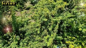 Что положить в кошелёк для денежной удачи