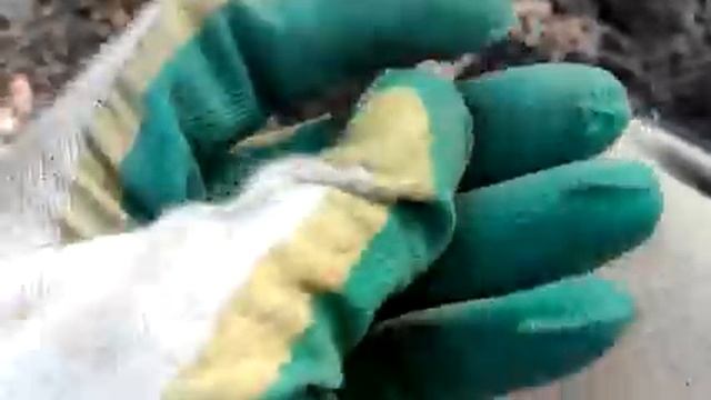 Удачный коп по старине ? Поиск монет на месте большой деревни.