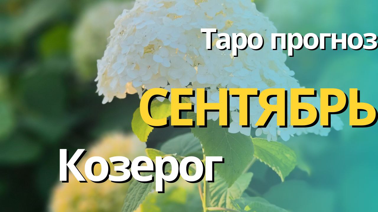 КОЗЕРОГ СЕНТЯБРЬ 2023 [Таро прогноз]
