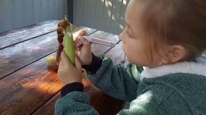 Куклы из кукурузы