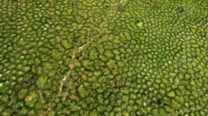 17 Загадки планеты Земля