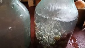 Компот из винограда Лидия закрываю на зиму.