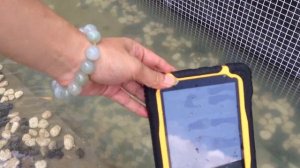 Крэш-тест защищенного планшета Sontek T70 при падении в воду