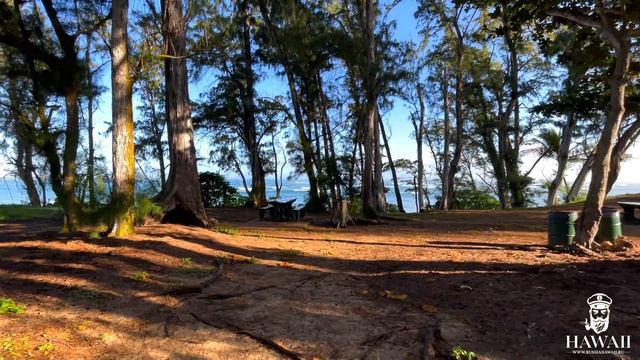 Виртуальное путешествие на Гавайи Hawaii 4K virtual tour on the beach смотреть онлайн
