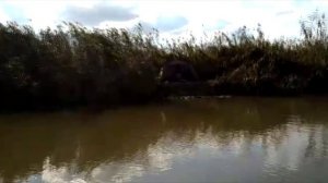 Зона пират. Пираты XX века