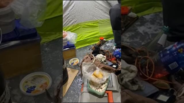 Ночная рыбалка на пелядь.