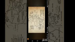 Башкирский Пророк .
Ахмед Заки Валиди .