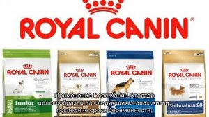 Роял Канин Стартер для щенков мелких, средних и крупных пород