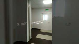 Обзорная экскурсия в студию. ЖК Невские паруса. Санкт-Петербург. Рыбацкое.