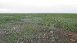 Опустевший хутор Циков (Коммуна имени Ленина), Ровенский район.