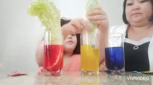 Эксперимент на тему: "Движение воды по стеблю и листьям растений"