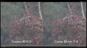 Гелиос 40 f1.5 vs Canon 85mm f1.8