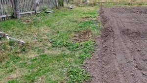 Пахота огорода мотоблоком мб с плугом от агрос