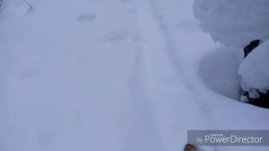 Рыбалка в Коми. Разведка озера.