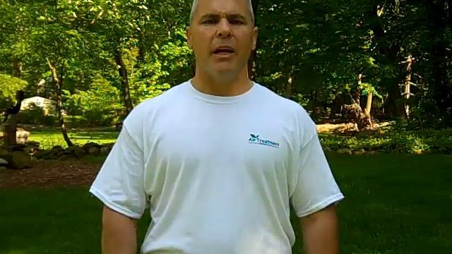 Basement & Crawl Space Issues смотреть онлайн